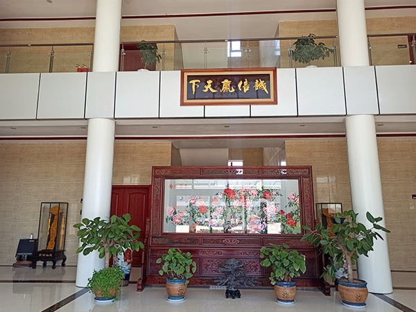 bg视讯厅